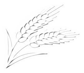 bdv ingredients